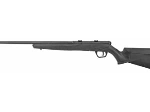 SAV B17 F 17HMR 21" 10RD BLK