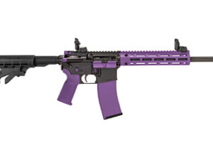 TIPPMANN M4-22 ACCENT 22LR 25RD PRP