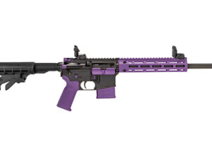 TIPPMANN M4-22 ACCENT 22LR 10RD PRP