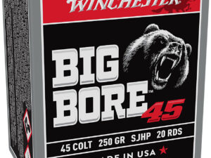 Winchester Ammo X45CBB Big Bore  45Colt 250gr Semi Jacketed Hollow Point 20 Per Box/10 Case