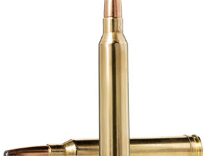 Norma Ammunition 20174762 Oryx  300WinMag 180gr 20 Per Box/10 Case