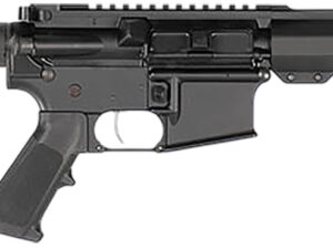 Hi-Point HP15P556 HP 15P 5.56x45mm 10.50"
