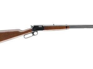BRN BL-22 GRI 22LR 20" 15RD WLNT