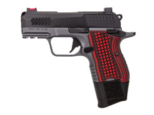 KIMBER CDS9 9MM OR RL 15RD GRY/BLK