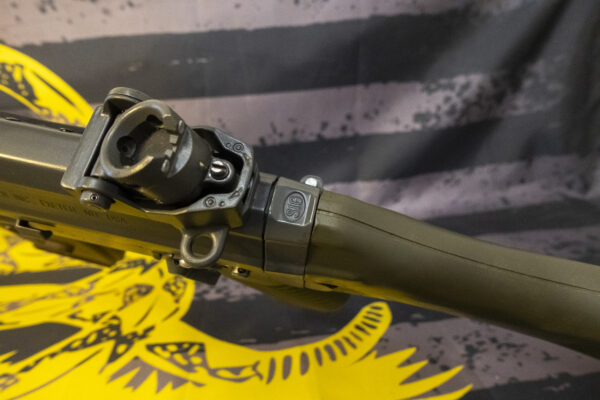 SIG 556 / 550 Swiss Rifle - Image 10