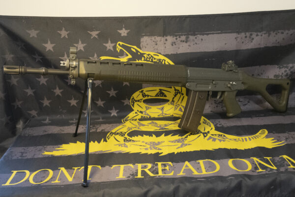 SIG 556 / 550 Swiss Rifle - Image 2