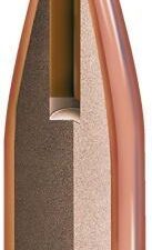 Hornady NTX Bullets .20 cal .204" 24 gr NTX 100/ct