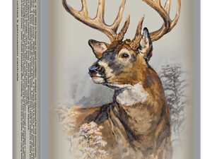 Winchester Ammo X4501 Power-Point  450Bushmaster 260gr 20 Per Box/10 Case