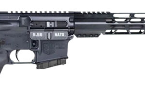 Diamondback DB1790K001 DB15 *CA Compliant 5.56x45mm NATO 10+1 16", Black, Adjustable Magpul MOE Carbine Stock, MOE Grip, 12" M-LOK, Fixed Magazine Lock & Release