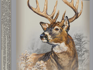 Winchester Ammo X30306 Power-Point  30-30Win 150gr 20 Per Box/10 Case