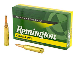 REM 264WIN MAG 140GR PSP CL 20/200