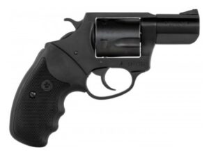 CHARTER ARMS THE PROFESSIONAL 357MAG 3"