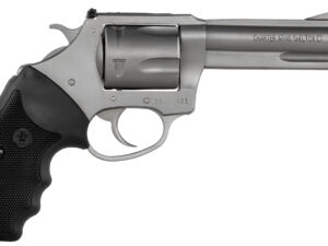 Charter Arms 74042 Pitbull  40 S&W 5 Shot 4.20" Matte Stainless Steel Barrel, Cylinder & Frame w/Black Finger Grooved Rubber Grip