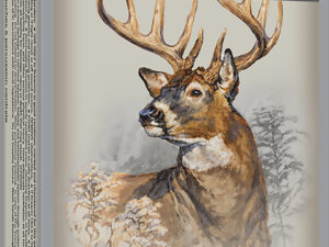 Winchester Ammo X325WSM Power-Point  325WSM 220gr 20 Per Box/10 Case