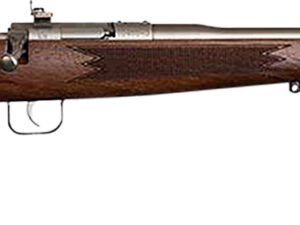 Chipmunk 10002 Deluxe The Original Youth Deluxe Single Shot 16.10" Satin Tapered Barrel, Satin Stainless Steel Receiver, Fixed American Walnut Stock, EZ Loader