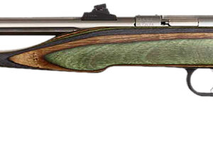 Chipmunk 41105 Hunter Adult 22 Mag 1rd 9" Threaded Stainless Steel Single Shot Barrel, Camo Laminate Stock