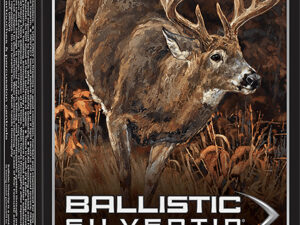 Winchester Ammo SBST3030 Ballistic Silvertip  30-30Win 150gr Rapid Controlled Expansion Polymer Tip 20 Per Box/10 Case