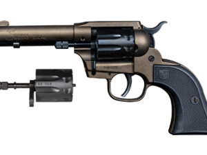 DBF SIDEKICK 22LR/WMR 4.5" 9RD BRZ