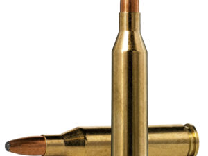 Norma Ammunition 20160332 Oryx  243Win 100gr 20 Per Box/10 Case