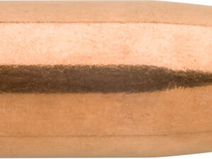 Sierra 1540 Pro-Hunter  6mm 100gr Spitzer 100/Box