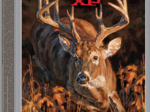 Winchester Ammo X300DS Deer Season XP 300WinMag 150gr Extreme Point 20 Per Box/10 Case