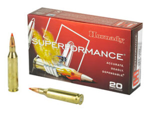 HRNDY SF 243WIN 95GR SST 20/200