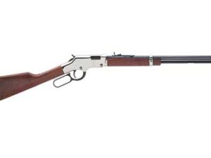 HENRY H4 GOLDEN BOY SILVER 22LR 20"
