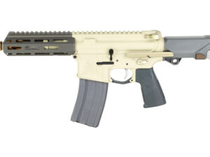 Q SGR WSL SBR 300BK 7" 30RD FDE