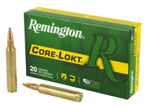 REM 300RUM 180GR CL 20/200