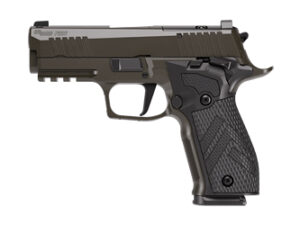 SIG P226 XLGN DA/SA 9MM 3.8 10RD GRY