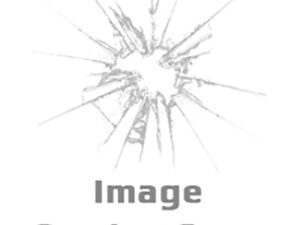 Taurus 1-GX4M931-G GX4  Micro-Compact Frame 9mm Luger 11+1 3.06" Satin Black DLC Stainless Steel Barrel Black Alloy Steel Serrated Slide Gray Stainless Steel Frame Textured Grip