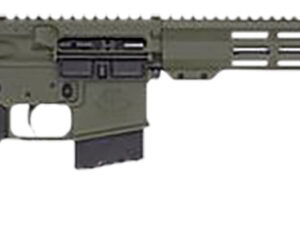 Great Lakes Firearms GL15400SSODG AR-15  400 Legend 5+1 16" Stainless Threaded Barrel, OD Green Cerakote Aluminum Receiver w/Picatinny Rail, Adjustable Black Synthetic Stock, Mil-Spec Grip