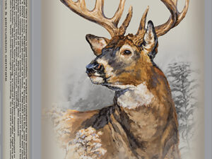 Winchester Ammo X243WSS Power-Point  243WSSM 100gr 20 Per Box/10 Case