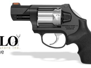 DIAMONDBACK FIREARMS SDR 357MAG 2" 6RD TT BOBBED