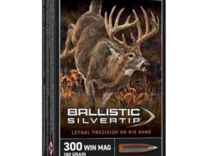 Winchester Ballistic Silvertip Rifle Ammunition .300 Win Mag 180 gr. PT 2950 fps 20/ct