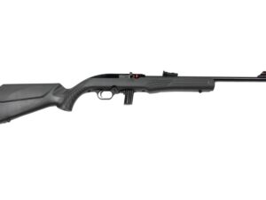 ROSSI RS22 22LR BLK/GRAY 18" 10+1  #