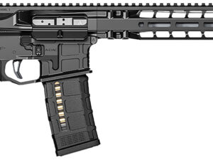 RADIAN WEAPONS R0041 Model 1  223 Wylde 16" Rifle 30+1 Radian Black Cerakote Black Magpul Collapsible Magpul