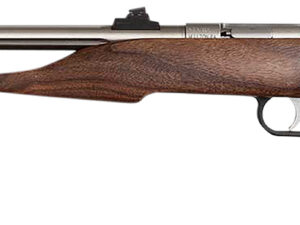 Chipmunk 40101 Hunter  Youth Frame 22 S/L/LR Single Shot 9" Threaded Stainless Steel Barrel, Walnut Frame, EZ Loader