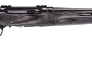 Savage Arms 47005 A17 Target Full Size 17 HMR 10+1 22" Black Heavy Fluted Barrel, High Luster Drilled & Tapped Carbon Steel Receiver, Satin Gray Thumbhole Laminate Stock, Right Hand