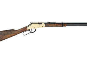 HENRY H4 GOLDEN BOY 17HMR 20" 12RD