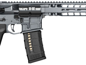 Radian Weapons R0038 Model 1 Carbine 223 Wylde 30+1 14.50" Pinned & Welded Barrel, Radian Gray Billet Rec/M-Lok Handgaurd, Magpul Grip & CTR Stock, Ambi Controls, Mid-Length Gas