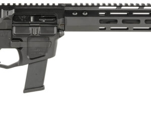 Wilson Combat TRAR9GB91610 AR9G Carbine 9mm Luger 17+1 16" Black Match Grade Threaded Barrel, Black Armor-Tuff Aluminum Receiver, M-LOK Handguard, Black Synthetic Rogers Super-Stoc w/Cam-Lock Stock