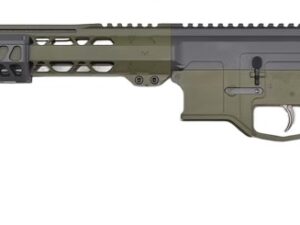 BILSON ARFCS4920R1 BA15FC  556   16 20R SNPGRN/GRY