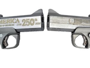 BOND ARMS 250TH REDNECK 45-70 SS 4.25"