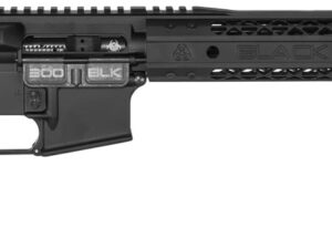 Black Rain BROSPEC15300BLK Spec15  300 Blackout 16" 30+1 Black Hard Coat Anodized Enhanced G.I. Sopmod Stock