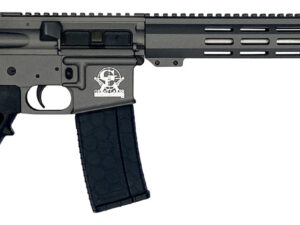 Great Lakes Firearms GL15223SSTNG AR-15  223 Wylde 16" Stainless 30+1, Tungsten Rec, Black Stock & Grip