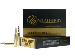 Weatherby R224805FBT   224WthbyMag 80.5gr 20 Per Box/10 Case