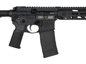 DIA DB1984B001  300BO DB15 10       30R*BRACE* BLK