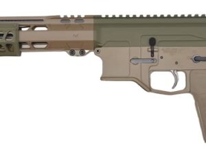 BILSON P2FCSFG20R1 BA15FCP 300BO    20R FDE/SNPGRN