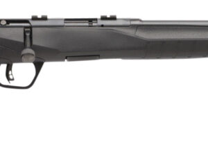 Savage Arms 70814 B17 F Compact 17 HMR 10+1 18" Matte Black Button Rifled Barrel, Matte Black Drilled & Tapped Carbon Steel Receiver, Matte Black Fixed Synthetic Stock, Right Hand